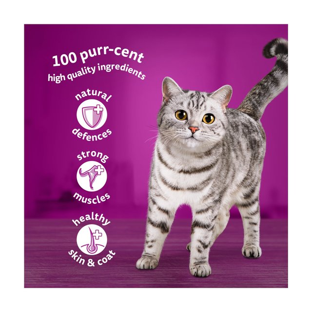 Whiskas 1+ Adult Wet Cat Food Pouches Fish Favourites in Jelly 12 x 85g