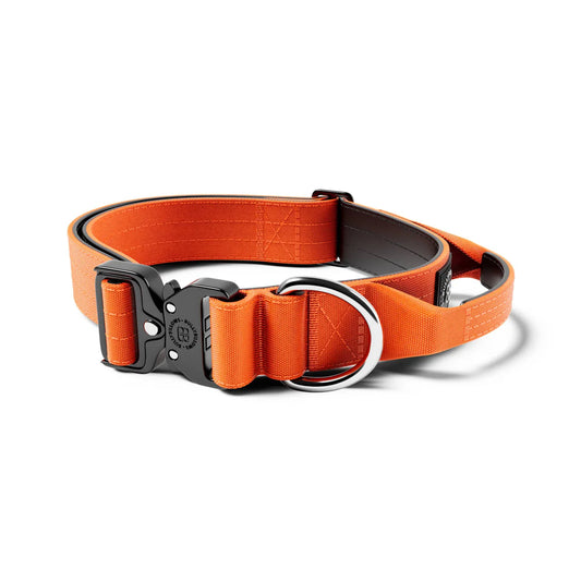 4cm Combat® Collar | With Handle & Rated Clip - Orange v2.0