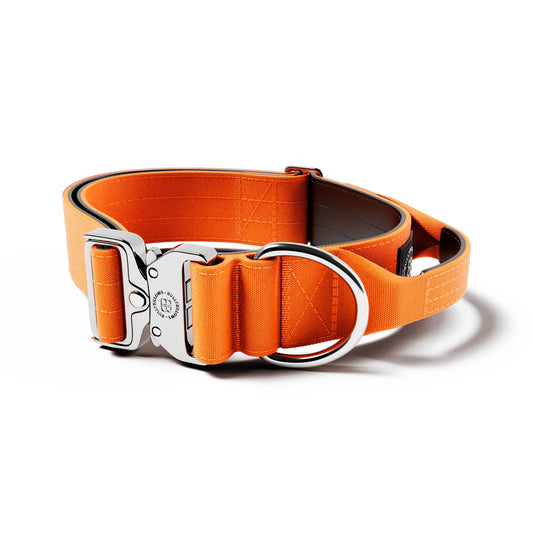 5cm Combat® Collar | With Handle & Rated Clip - PLATINUM Orange v2.0