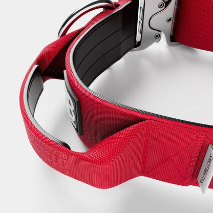 5cm Combat® Collar | With Handle & Rated Clip - PLATINUM Red v2.0