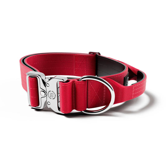 5cm Combat® Collar | With Handle & Rated Clip - PLATINUM Red v2.0