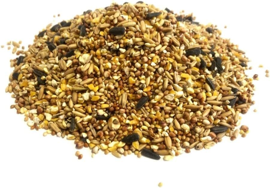 WILD BIRD SEED 500g