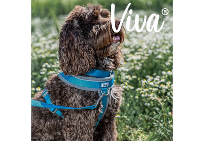 Viva Padded Harness Blue L 52-71cm