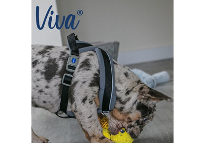 Viva Padded Harness Black M 41-53cm