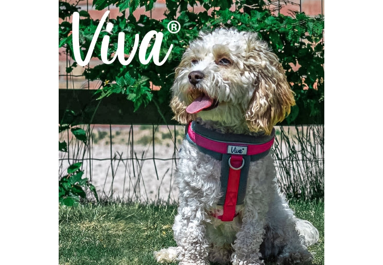 Viva Padded Harness Pink L 52-71cm