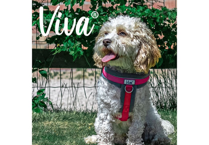 Viva Padded Harness Pink L 52-71cm