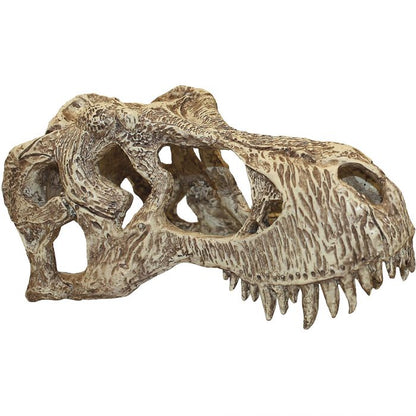 Komodo T-Rex Skull-Small