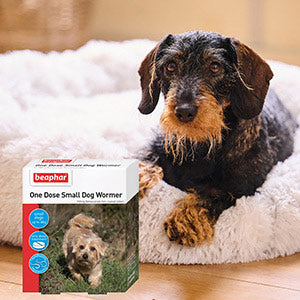 Beaphar One Dose Worming Tablets for Small Dogs