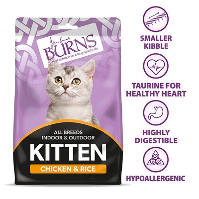 Burns Kitten Chicken & Rice 300g