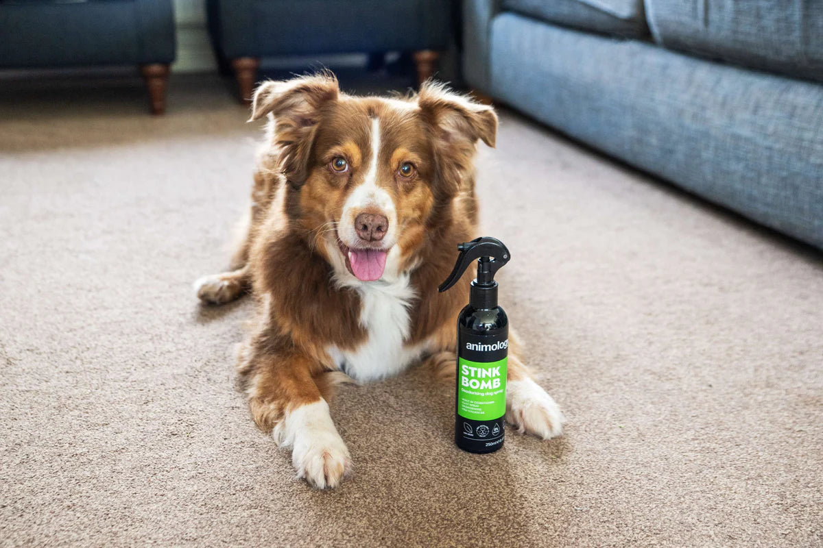 Animology Stink Bomb Deodorising Dog Spray 250ml