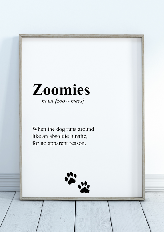 "Zoomies" Definition Wall Art Print