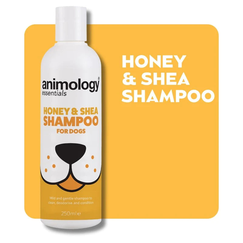 Animology Essentials Honey & Shea Shampoo 250ml