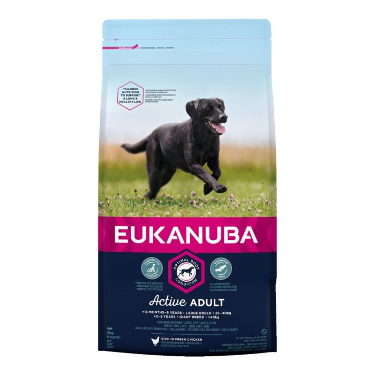 Eukanuba Large Breed Active Adult Chicken Dry Dog Food - 2kg