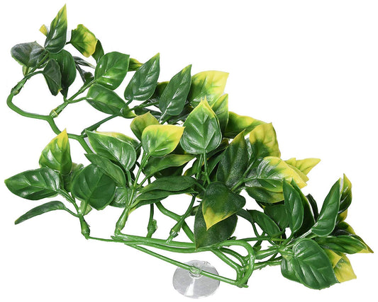 Exo Terra Jungle Plant - Amapallo Small