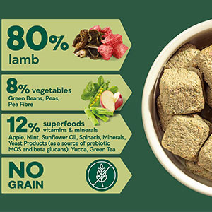 Natures Menu Complete & Balanced 80/20 Frozen Adult Dog Food Lamb 1kg