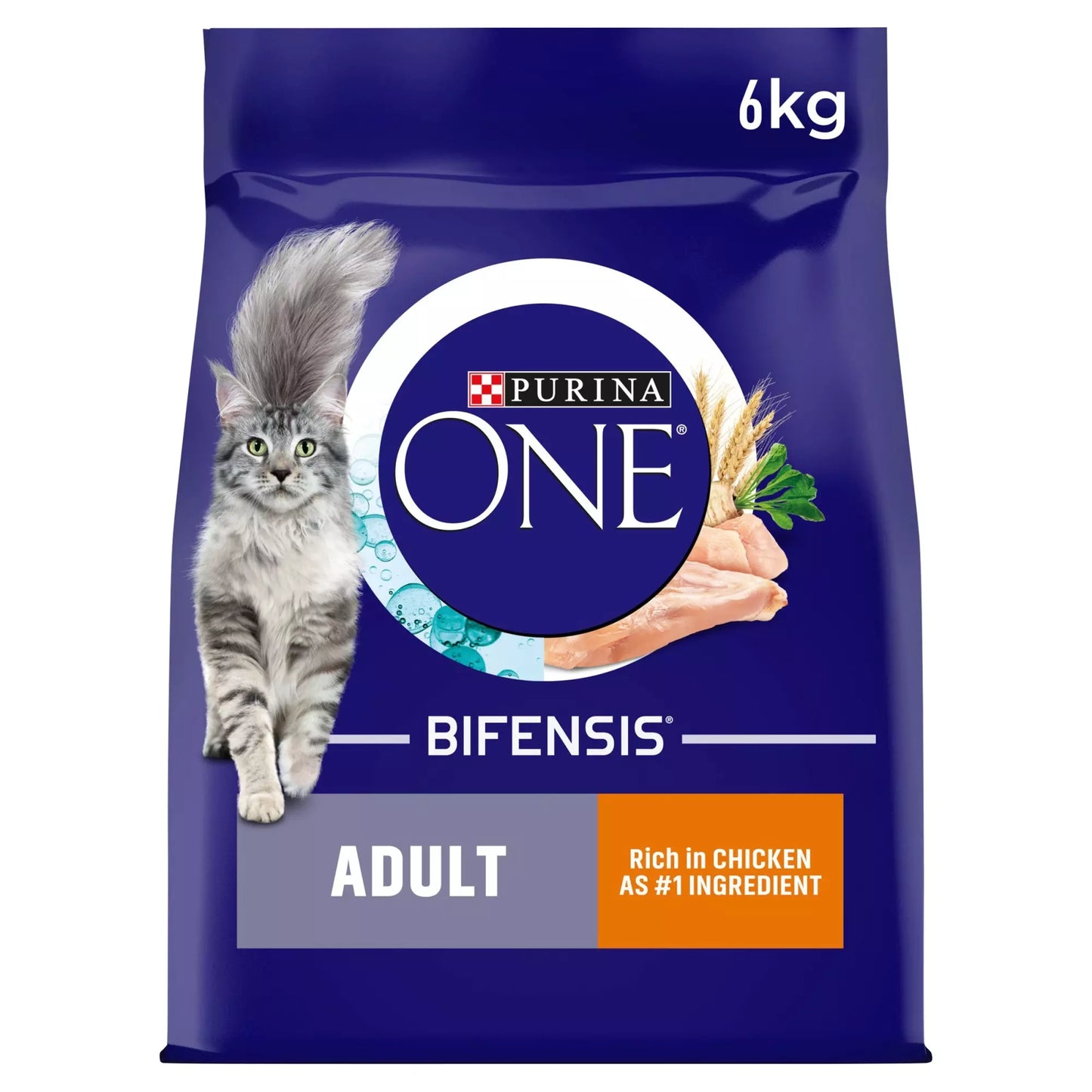 PURINA ONE Adult Chicken & Whole Grains Cat Food