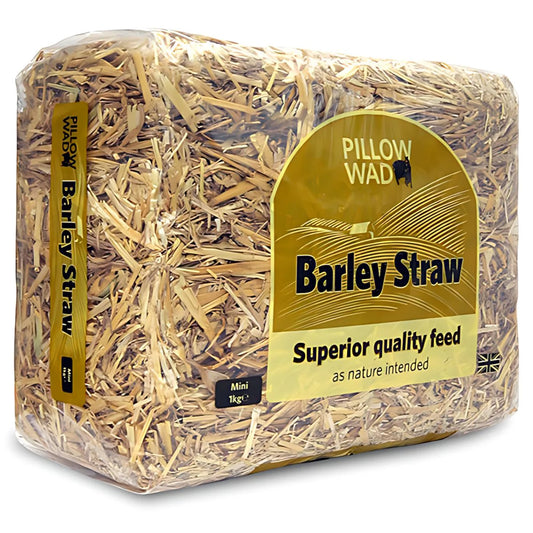 Pillow Wad - Barley Straw - 1Kg