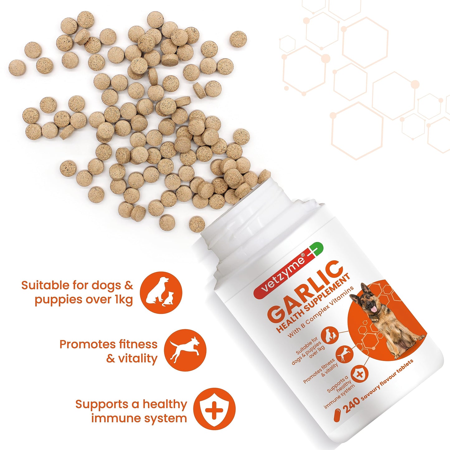 Vetzyme Garlic Health Supplement for Dogs (240 Tablets) - With B Complex Vitamins to Promote Fitness and Support a Healthy Immune System