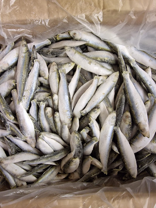 Southcliffe Sprats 1kg